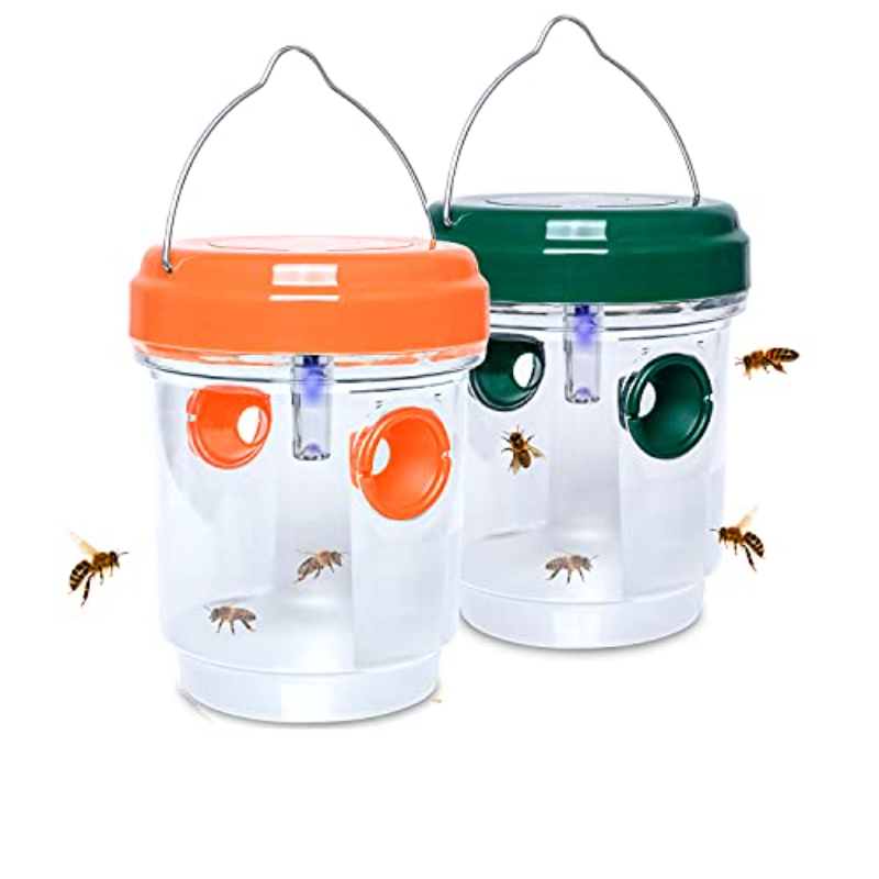Trappole Solari per Vespe, Tra - Bug Catching Kit recensione e prezzo